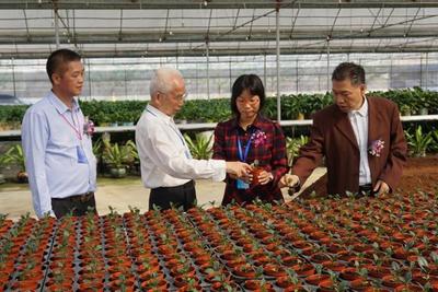 神舟帶回的太空蔬菜更好吃？江門“飛天”種子專業戶揭示農業科研新篇章