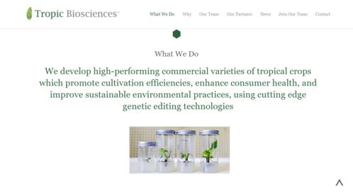 熱帶基因點亮未來 Tropic Biosciences完成2850萬美元B輪融資，引領農業科技變革